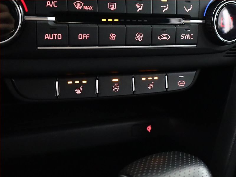 Kia Pro_Ceed (2023) GT-Line 1.5 T-GDI - fotka 17 z 21