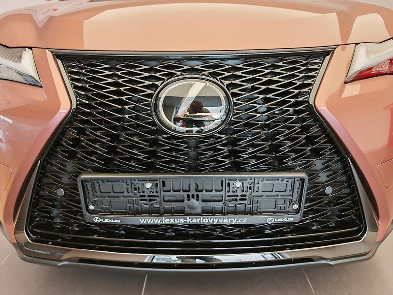 Lexus UX 300h F Sport Design 300H - fotka 4 z 44