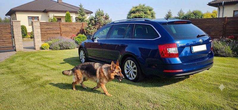 Škoda Octavia 1.4TSI 110 kw servisní histori - fotka 45 z 48