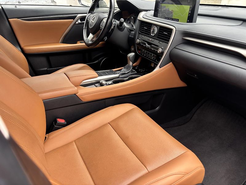 Lexus RX 300 (2022) 2.0Turbo, 175kW, 4x4, ČR - fotka 10 z 16