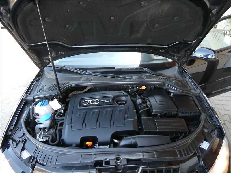 Audi A3 1,6 TDi 77kW serviska,digi.kli - fotka 36 z 47