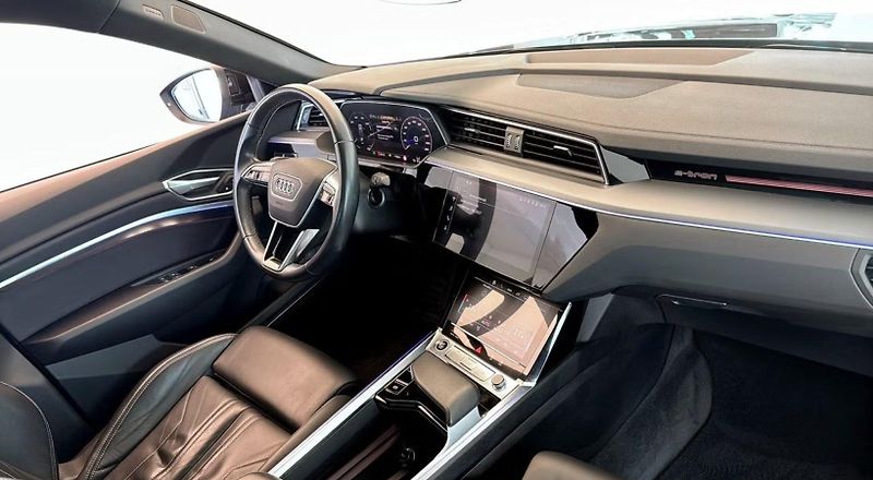 Audi Q8 e-tron SB 50 Q 360k Pano Matrix Tažné - fotka 10 z 21
