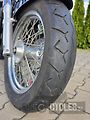 Honda VT 750 C2 Shadow (2006) - náhled 9