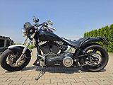 Harley-Davidson FLST Heritage Softail (2002) - náhled 8
