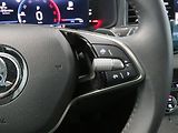 Škoda Karoq - náhled 18