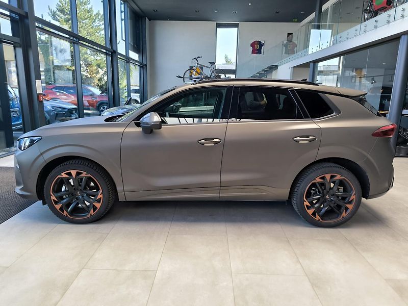 Cupra Terramar (2025) 2.0 TSI 204k DSG 4WD - fotka 4 z 14