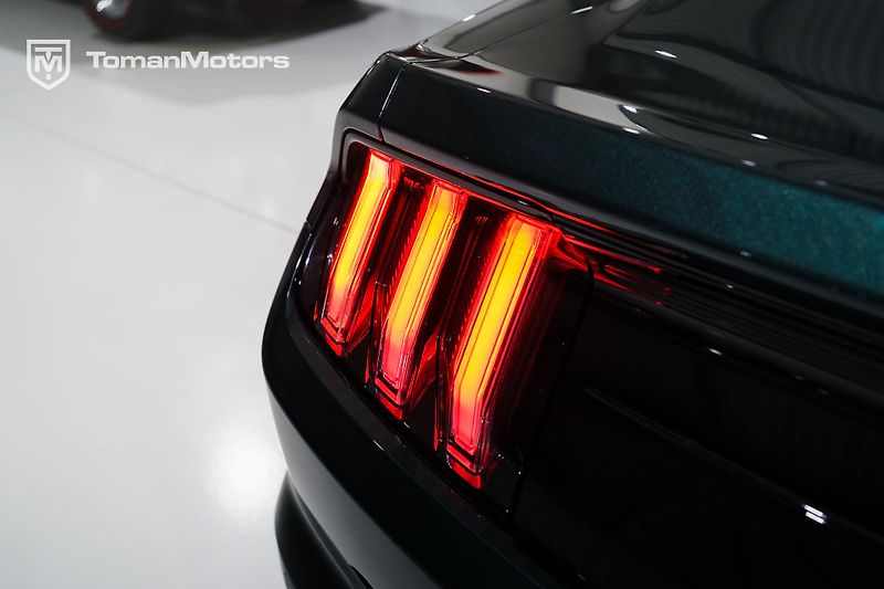 Ford Mustang (2019) Bullitt, Man, RECARO, DPH odpo - fotka 19 z 23
