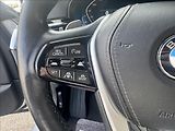 BMW Řada 5 540XD,Luxury line,DPH - náhled 15