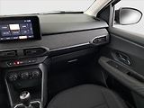 Dacia Jogger (2022) 1.0 TCe, LPG, ČR,1.maj - náhled 8