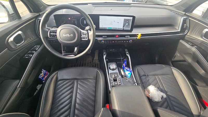 Kia Sorento (2024) 2.2 CRDi SCR 4x4 8DCT Top - fotka 9 z 10