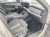 Škoda Kodiaq (2025) SPORTLINE 4X4 TD 142/2.0 A7A - náhled 18