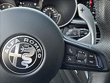 Alfa Romeo Stelvio 2,0 T Q4 AT8 ZF VELOCE původČR - náhled 30