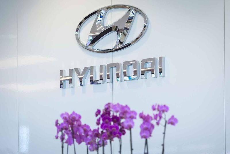 Oslavy 10. výročí zahájení sériové výroby automobilky Hyundai, 2. listopadu 2018 v Nošovicích. Na snímku Hyundai i30 Fastback N.