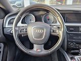 Audi S5 3,0 TSFi QUATTRO KŮŽE 245Kw - náhled 19