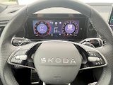 Škoda Kodiaq (2025) SPORTLINE 4X4 TD 142/2.0 A7A - náhled 28