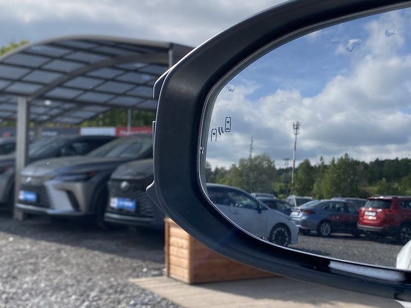 Toyota C-HR 1.8HEV, ČR, Executive, záruka - fotka 13 z 13