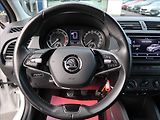 Škoda Fabia 1,0 TSi,70kW,1majČR,Serv.k,DPH - náhled 15