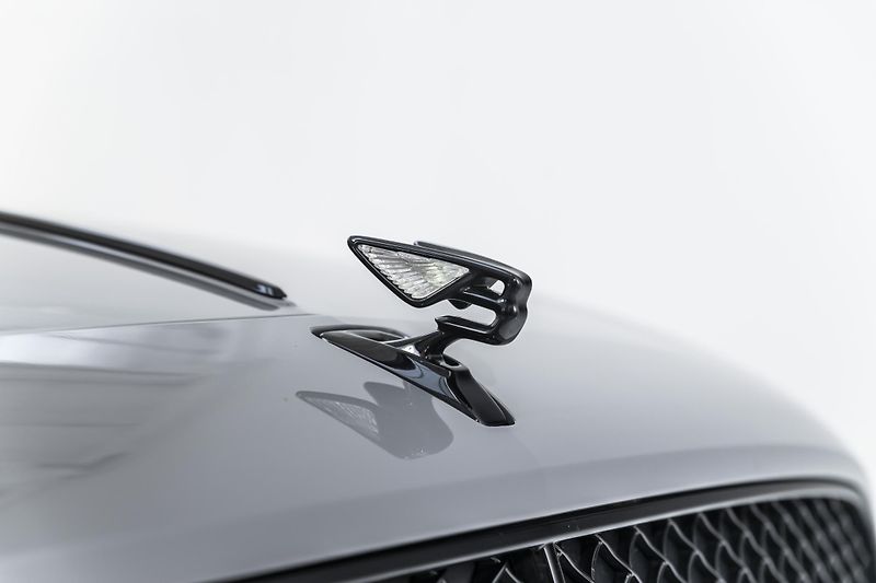 Bentley Flying Spur Speed Edition 12*PPF*W12 - fotka 11 z 43