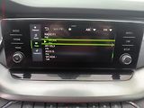 Škoda Octavia (2020) 2.0TDi, ČR, DSG, LED - náhled 11