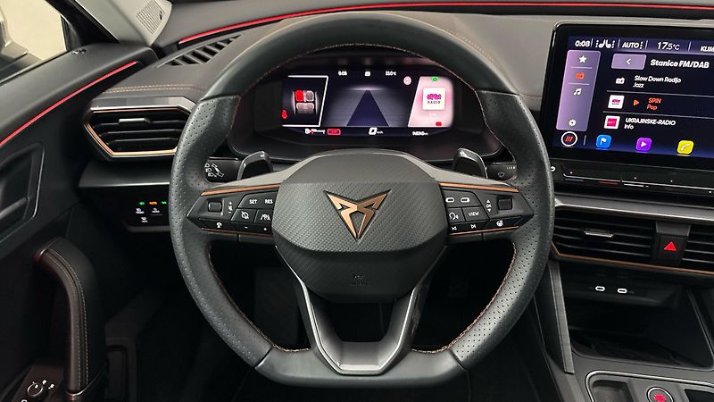 Cupra Formentor 2.0 TSI DSG 4Drive - fotka 9 z 29