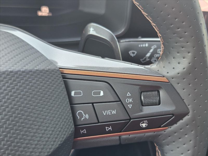Cupra Formentor 2,0 TSi DSG 4x4 Záruka2029 ČR - fotka 17 z 23