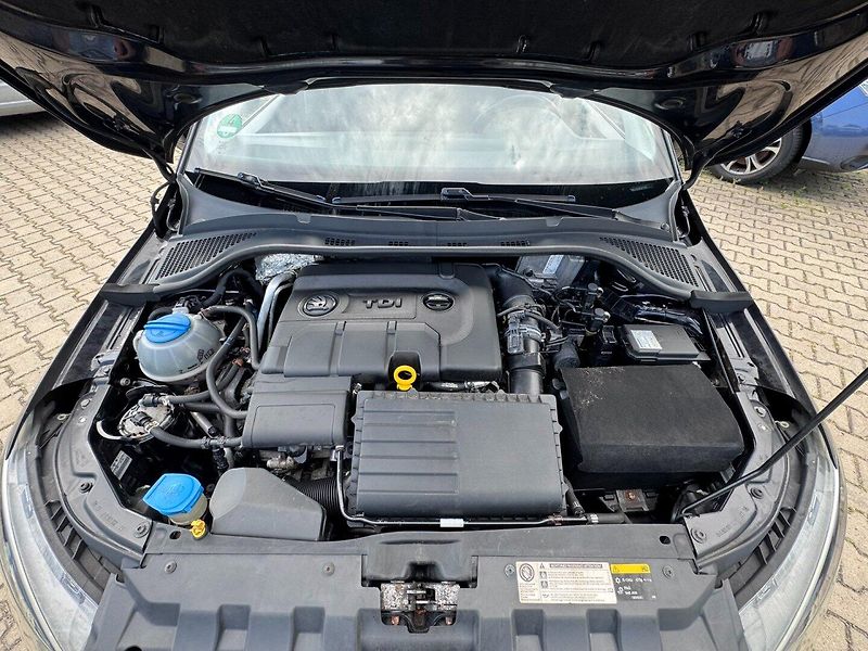 Škoda Fabia (2015) 1,4 TDI 77 KW 2. MAJ STK - fotka 41 z 43