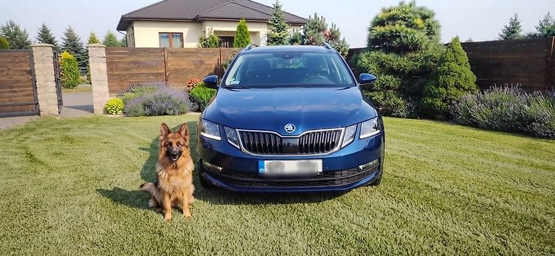 Škoda Octavia 1.4TSI 110 kw servisní histori - fotka 43 z 48