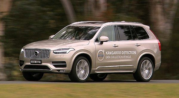 Volvo XC90 pracuje na systému pro detekci klokanů v okolí silnice.