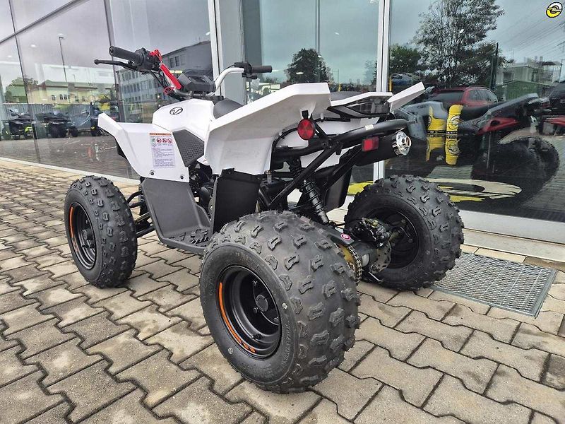 Linhai ATV 100 LH (2026) ATV 110 - fotka 25 z 74