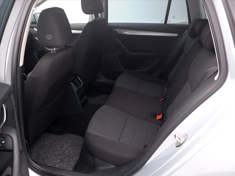 Škoda Octavia 2,0 TDI 135kW 4x4 DSG - fotka 13 z 28