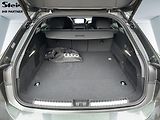 Audi A6 (2026) V6 55 TFSI EDITION ONE  - náhled 17