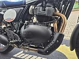 Royal Enfield Interceptor 650 (2026) Interceptor BEAR 650 - náhled 41