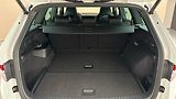 Škoda Kodiaq 2.0 TSI DSG 4x4 RS - náhled 17