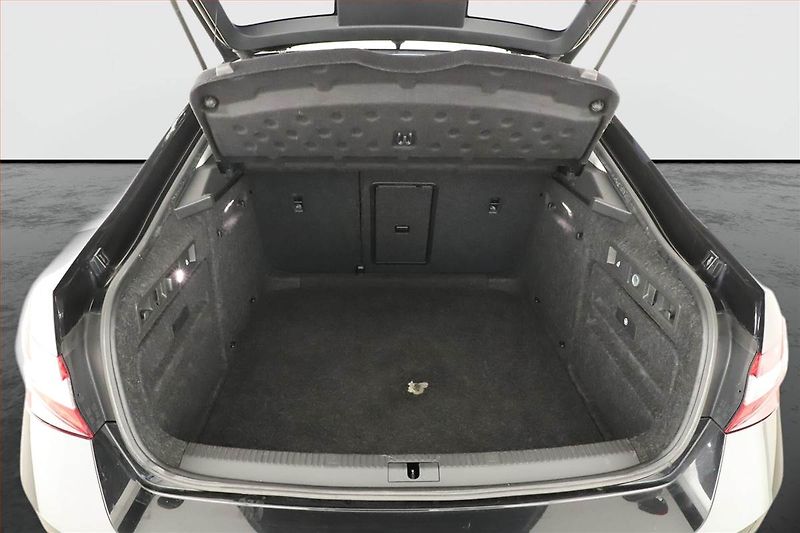 Škoda Superb (2019) 2.0 TDI, Automat, Navi - fotka 11 z 17