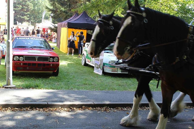 Festival MotorSvět se do areálu Psychiatrické nemocnice v Havlíčkově Brodě vrátil.po dvou letech. Jednou z ozdob bylo Lamborghini Gallardo.