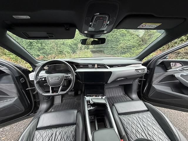 Audi e-tron (2020) Audi e-tron 55, S-LINE, tažné - fotka 10 z 16
