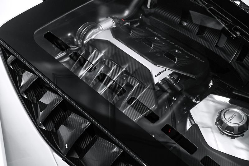 Ford Ostatní GT CARBON SERIES/KAMERA/LIFT - fotka 16 z 39
