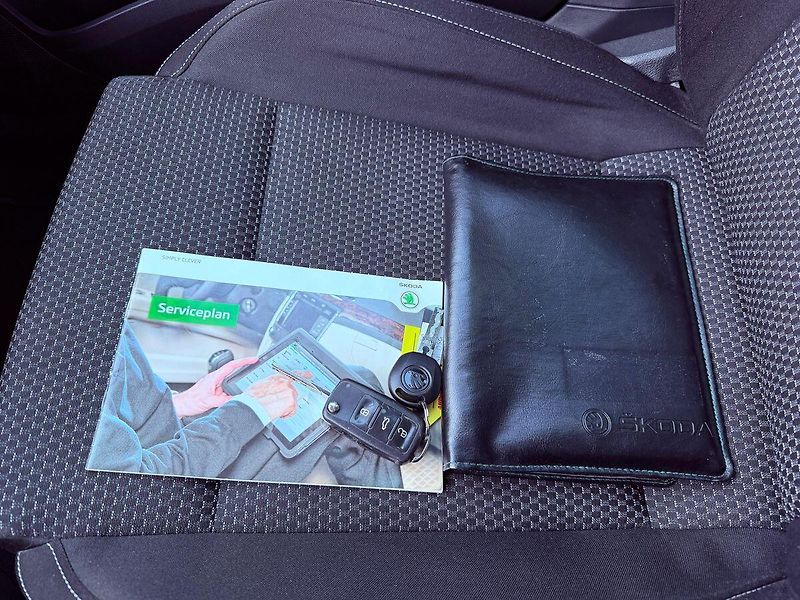 Škoda Octavia 2.0 TDi Elegance, Navi - fotka 23 z 27