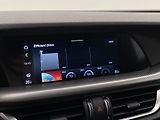 Alfa Romeo Stelvio VELOCE 2.2JTDm Q4 AUT - náhled 50