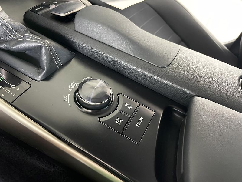 Lexus IS 300h IS 300h*AUT*Hybrid*Kamera* - fotka 23 z 31