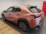 Lexus UX 300h F Sport Design 300H - náhled 9