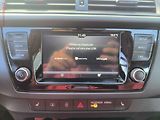 Škoda Fabia (2022) 1.0 TSi, 2.maj,ČR, Ambition - náhled 13