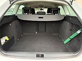 Škoda Octavia (2019) 4x4/1.6TDi/SERVIS ŠKODA/ - náhled 19
