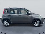Fiat Panda 1,0 i Hybrid,1.Maj, DPH - náhled 4