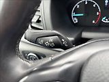 Ford Transit 2,0 EcoBlue 96kW AWD L3 DPH - náhled 25