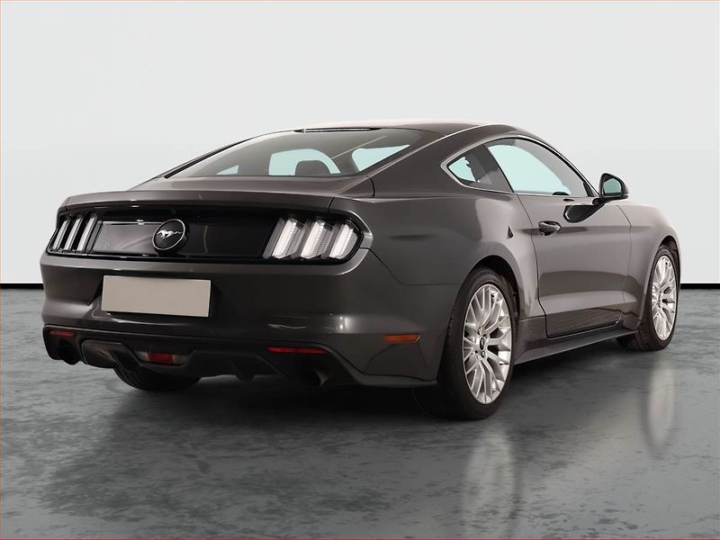 Ford Mustang (2016) 2.3 EcoBoost - fotka 5 z 17