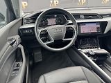 Audi e-tron (2020) Quattro 230kW Advanced, PANO - náhled 12