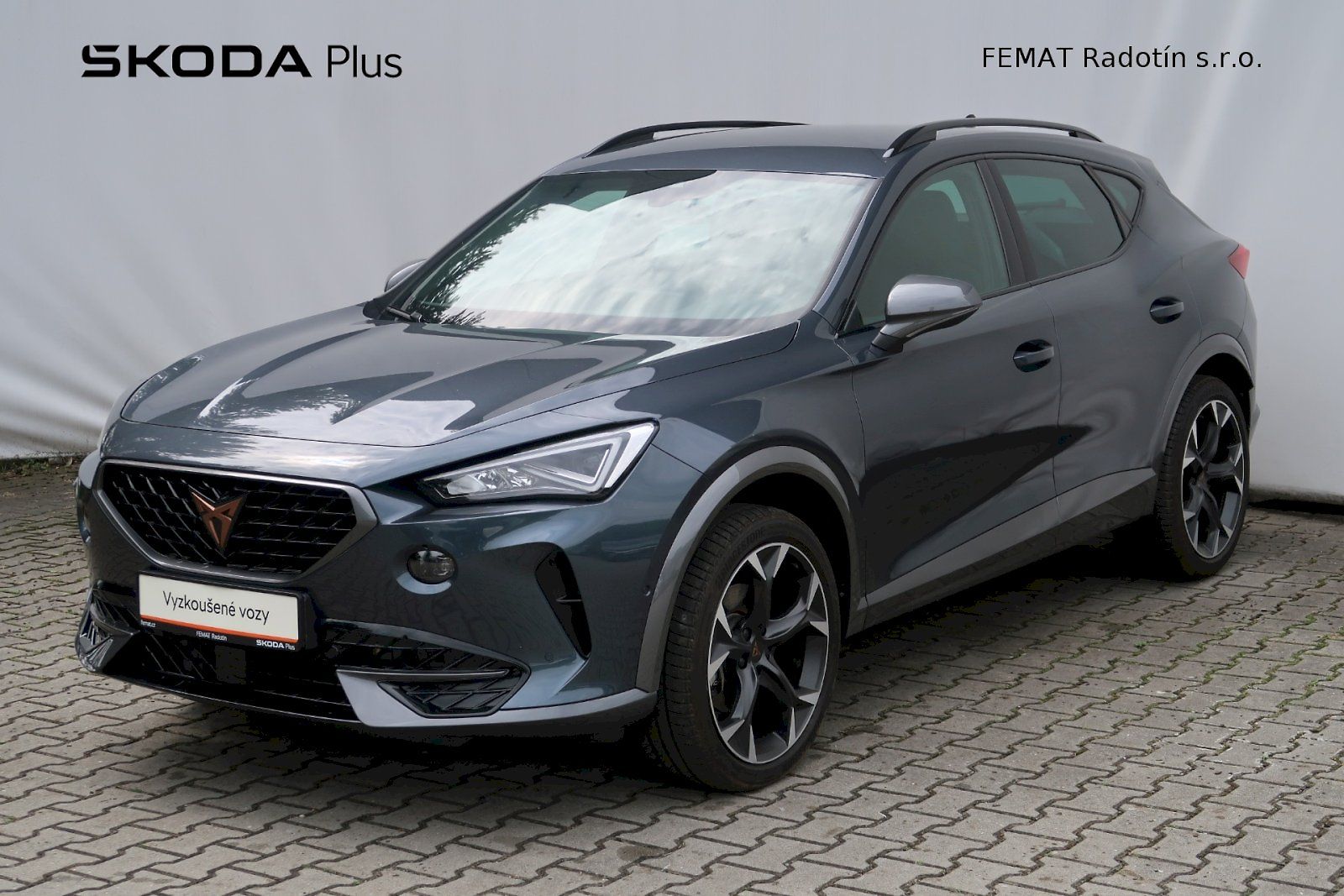 Cupra Formentor 2.0 TSI 140 kW 4x4 DSG