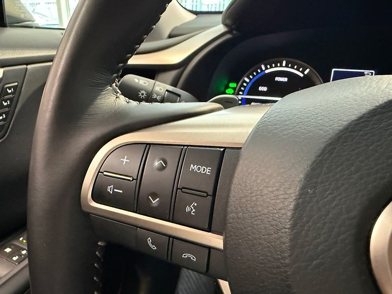 Lexus RX 450h (2022) LIMITED EDITION - fotka 16 z 33