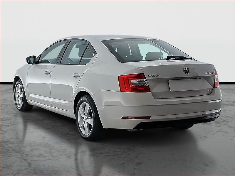 Škoda Octavia (2017) 2.0 TDI, 4X4 - fotka 4 z 15